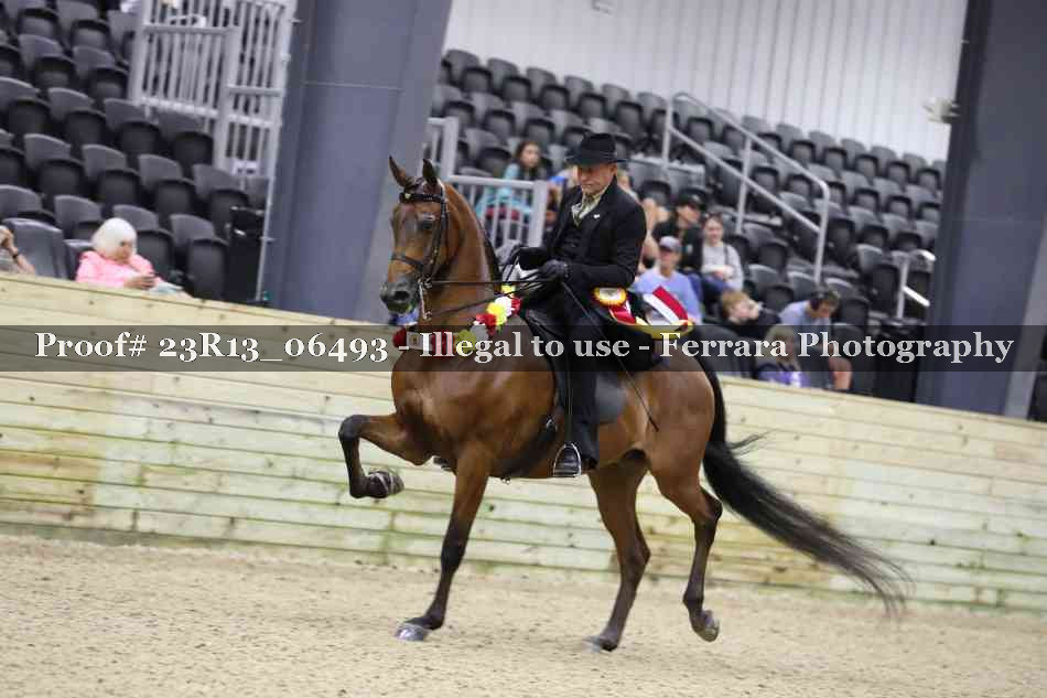 Proof Number 23R13_06493