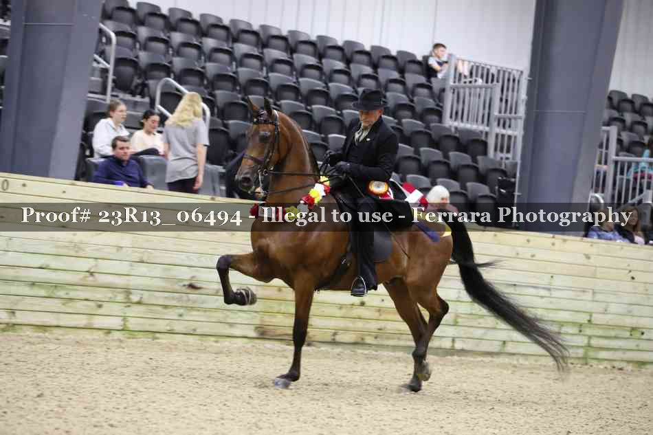 Proof Number 23R13_06494
