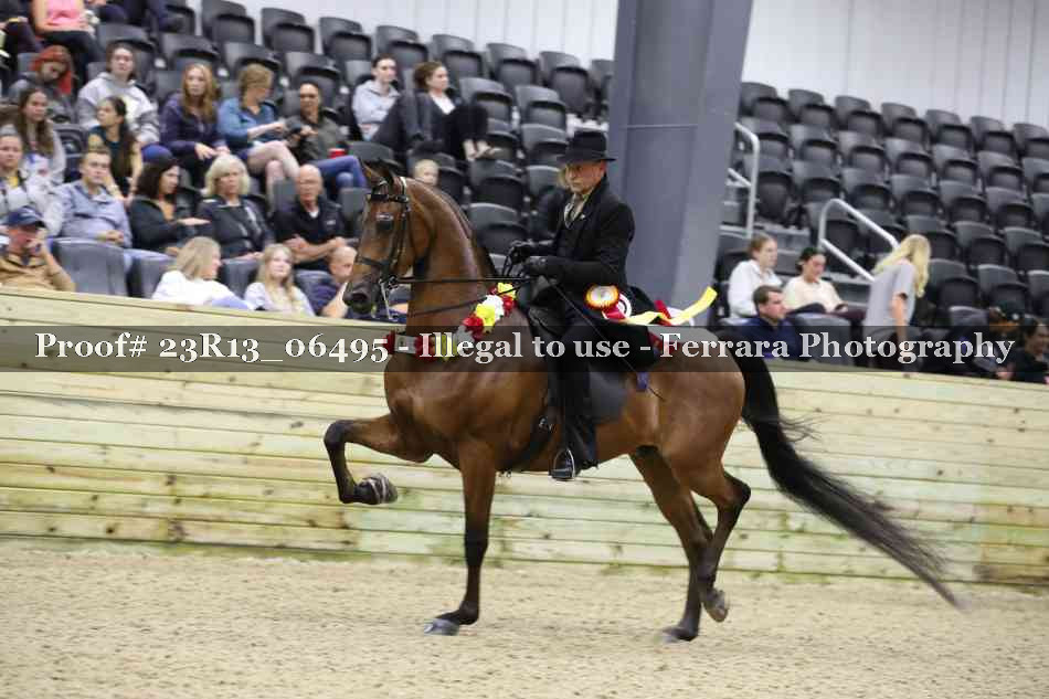 Proof Number 23R13_06495