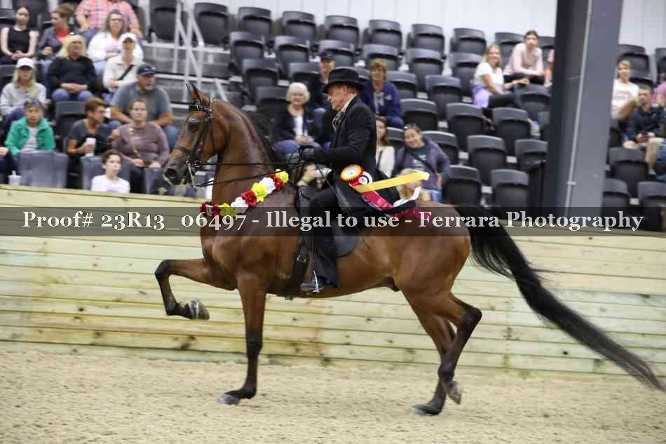 Proof Number 23R13_06497