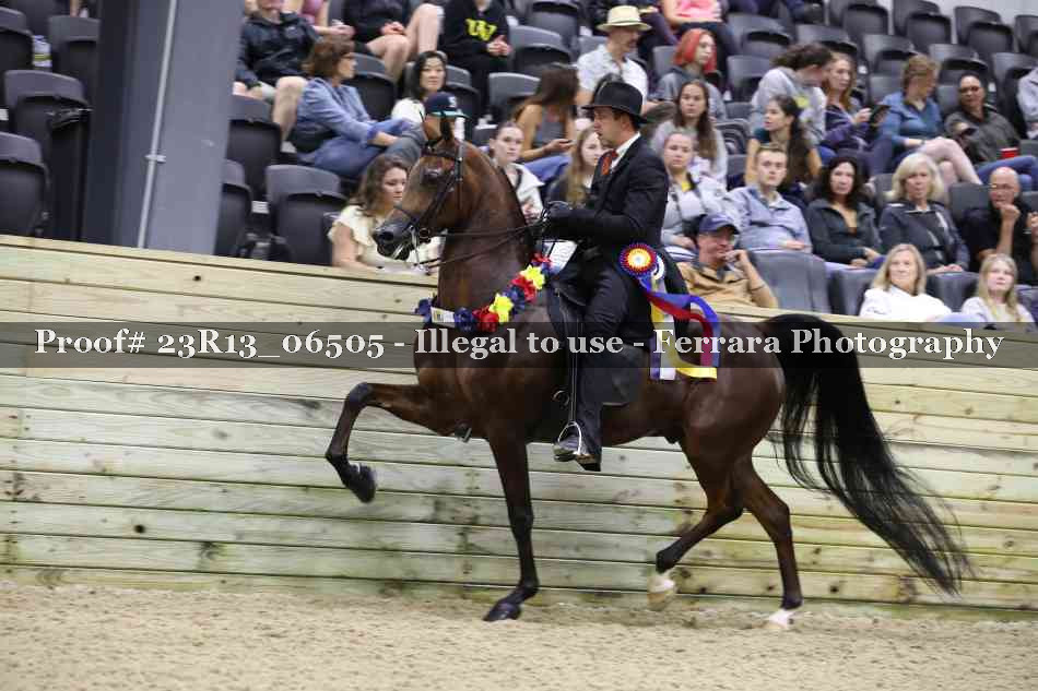 Proof Number 23R13_06505