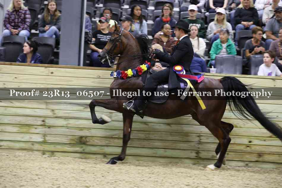 Proof Number 23R13_06507
