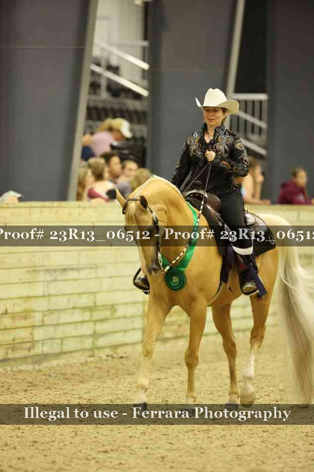 Proof Number 23R13_06512
