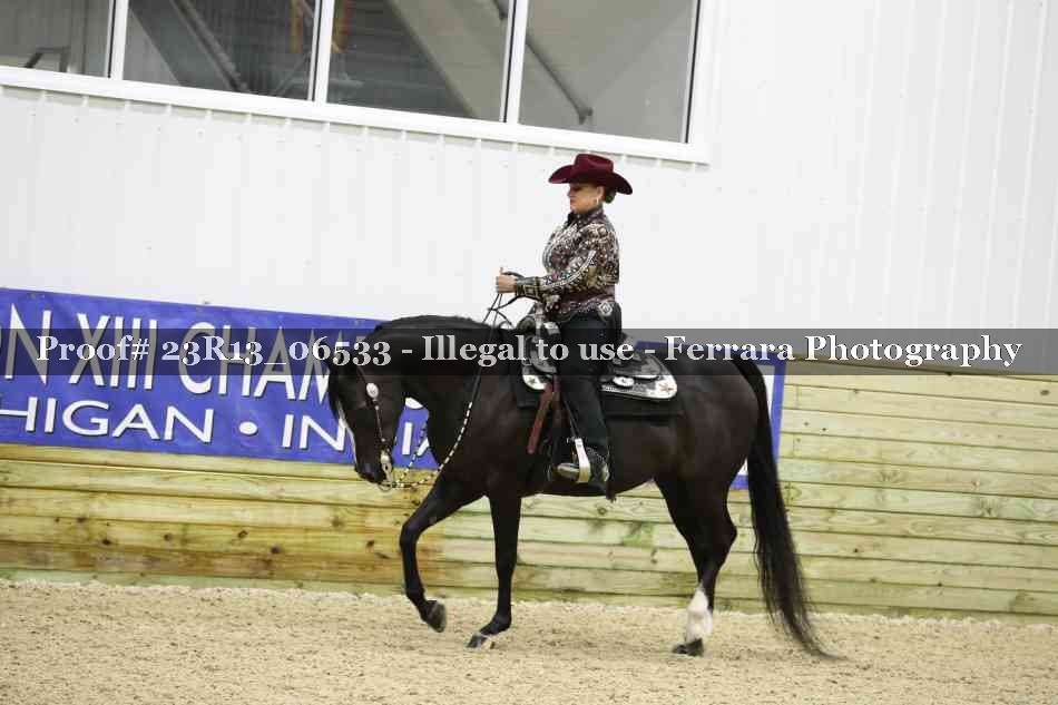 Proof Number 23R13_06533