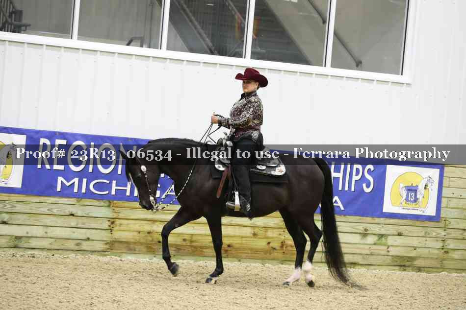 Proof Number 23R13_06534