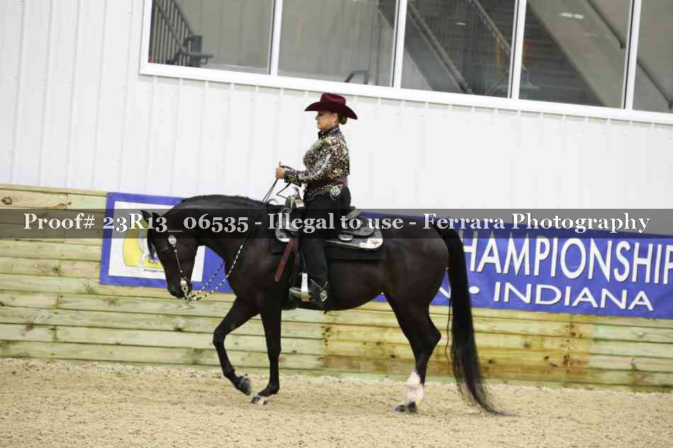 Proof Number 23R13_06535