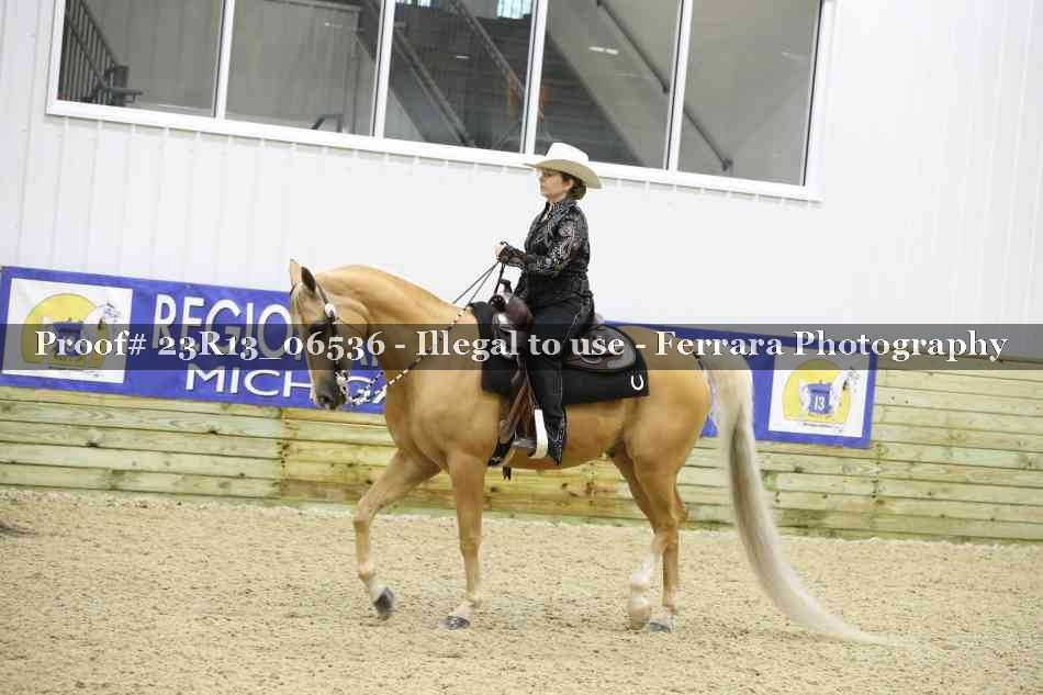 Proof Number 23R13_06536