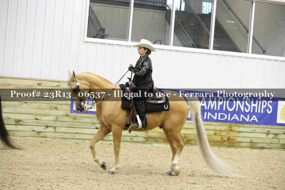Proof Number 23R13_06537
