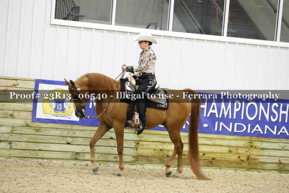 Proof Number 23R13_06540