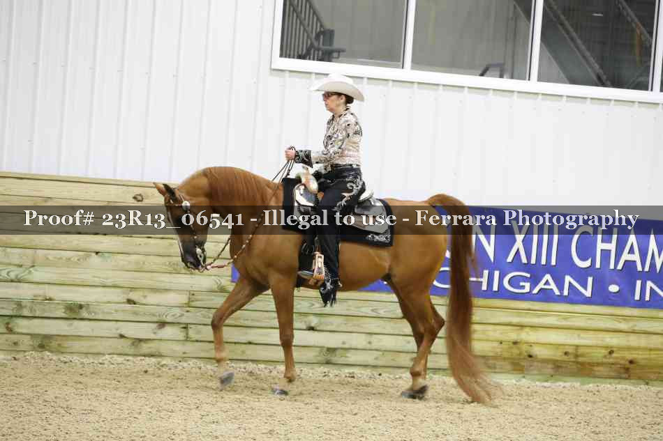Proof Number 23R13_06541