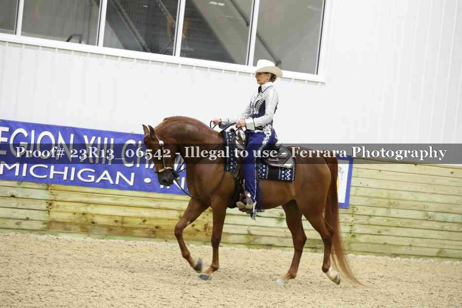 Proof Number 23R13_06542