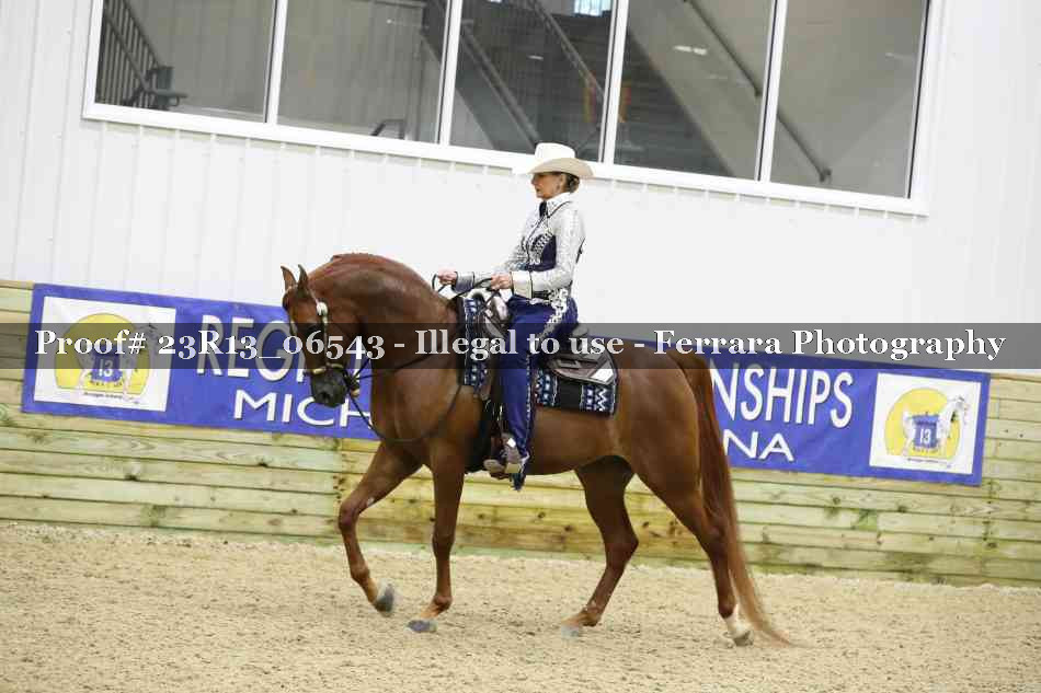 Proof Number 23R13_06543