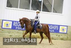 23R13_06543 thumbnail