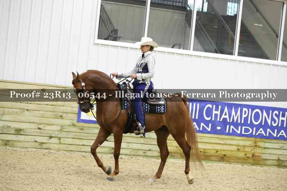 Proof Number 23R13_06544
