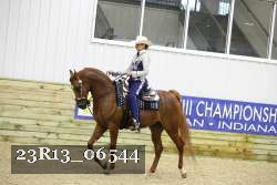 23R13_06544 thumbnail