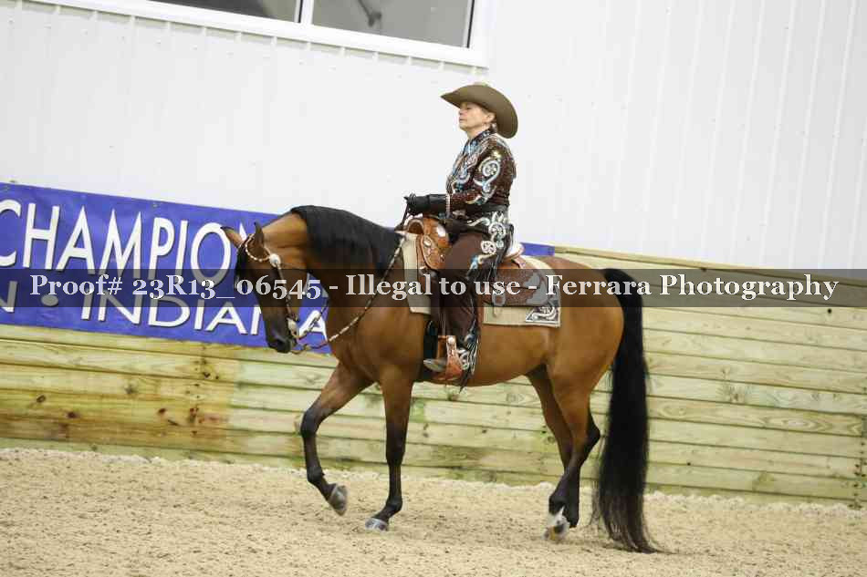 Proof Number 23R13_06545