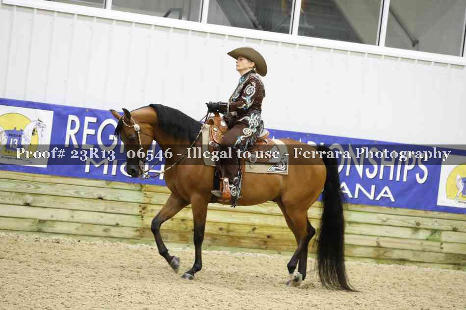 Proof Number 23R13_06546