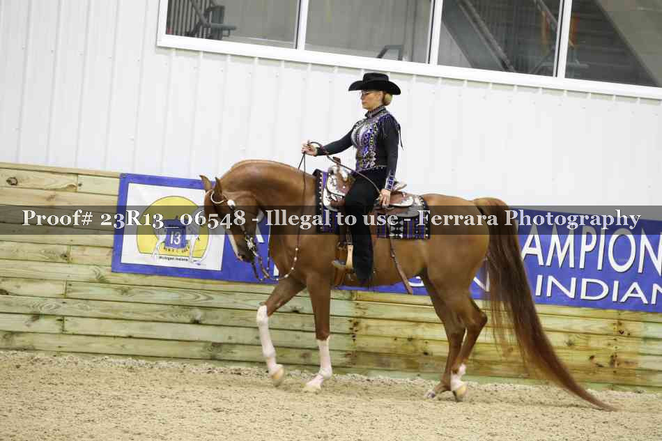 Proof Number 23R13_06548