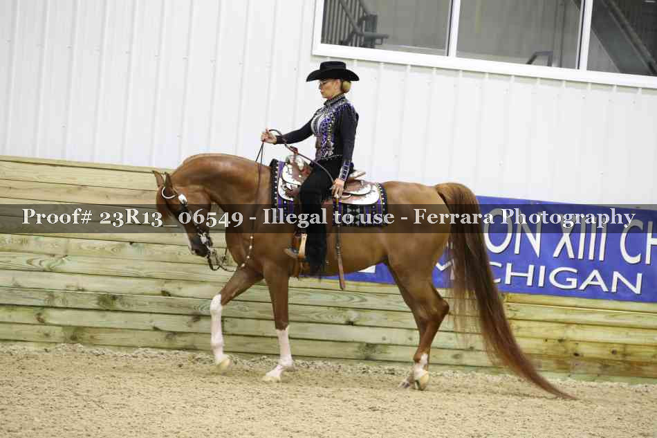 Proof Number 23R13_06549