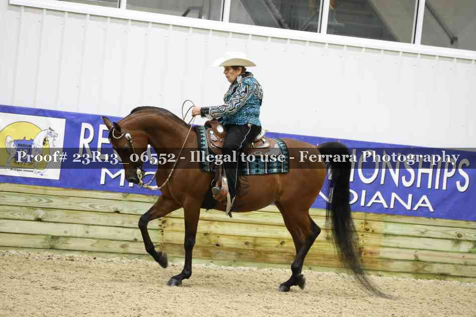 Proof Number 23R13_06552