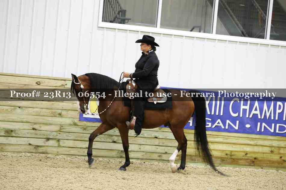 Proof Number 23R13_06554