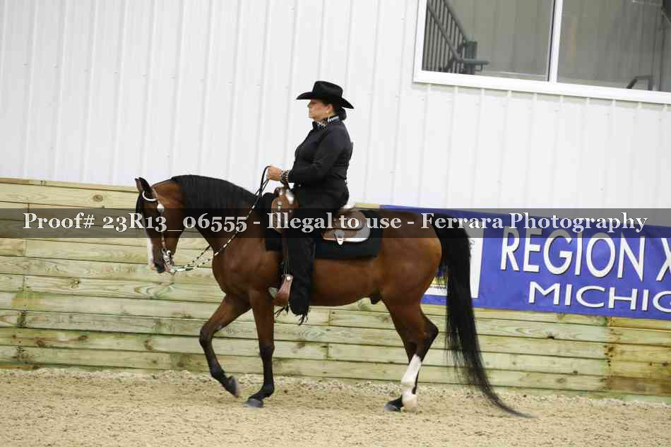 Proof Number 23R13_06555