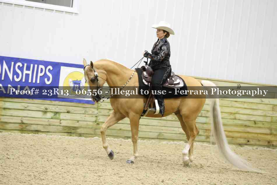 Proof Number 23R13_06556