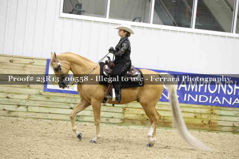 Proof Number 23R13_06558