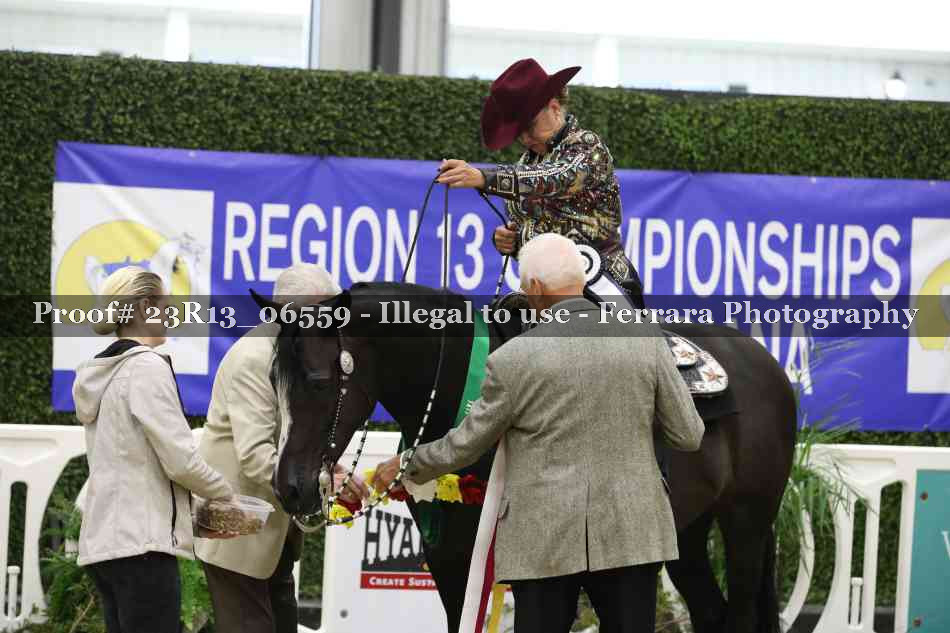 Proof Number 23R13_06559