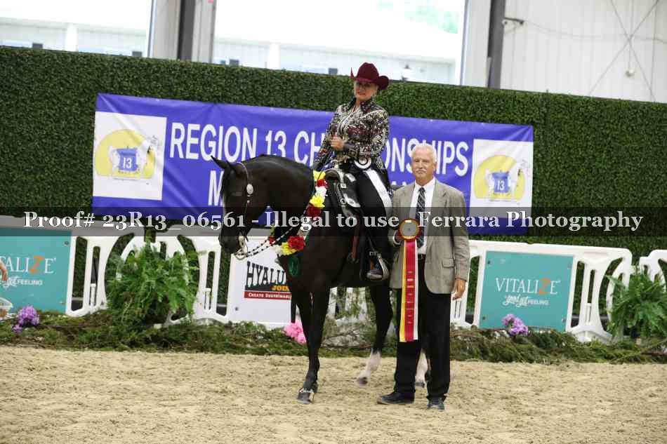 Proof Number 23R13_06561