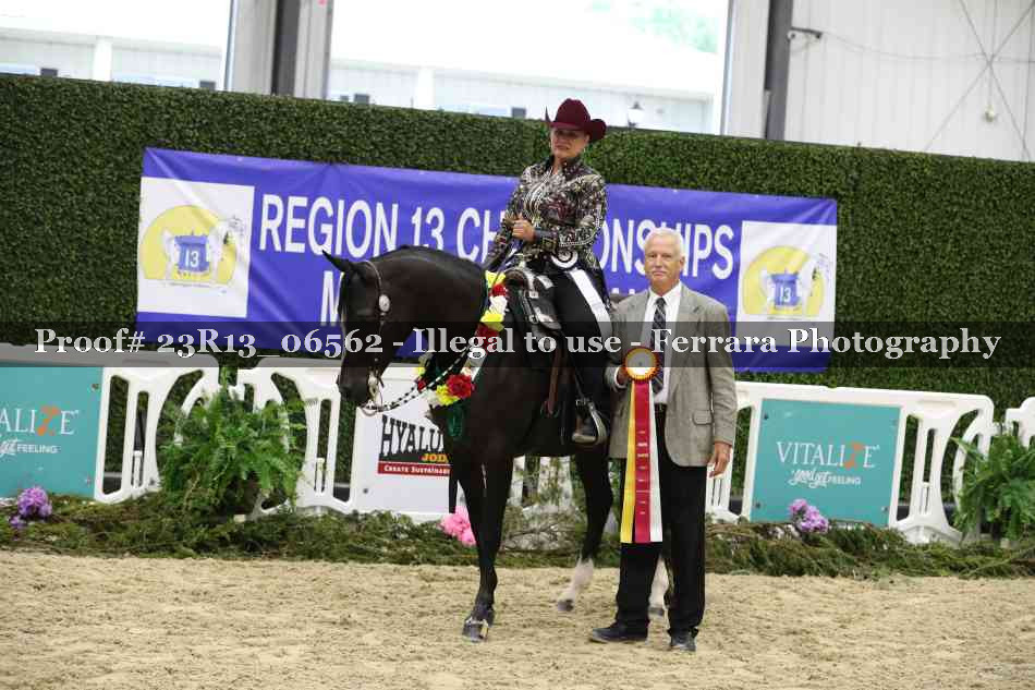 Proof Number 23R13_06562