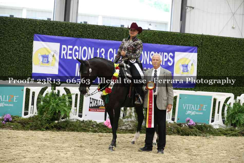 Proof Number 23R13_06563