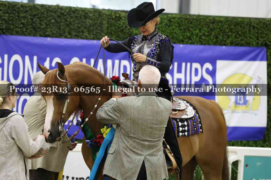 Proof Number 23R13_06565