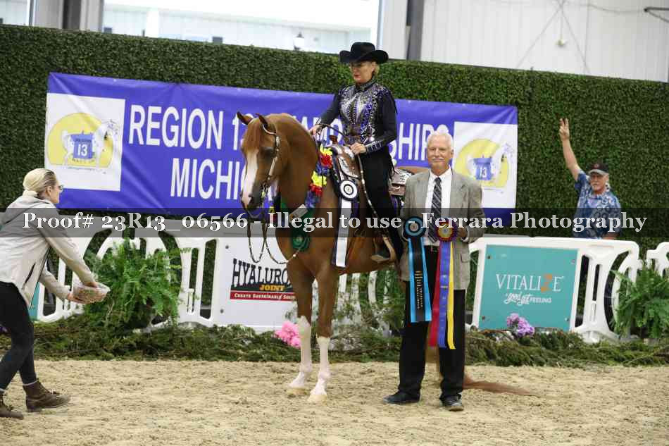 Proof Number 23R13_06566