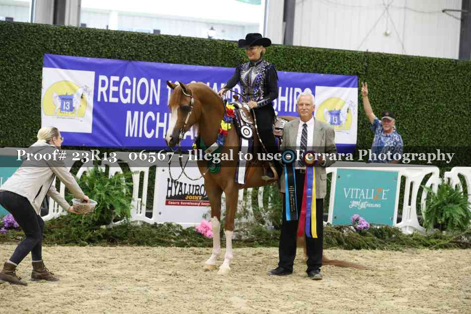 Proof Number 23R13_06567