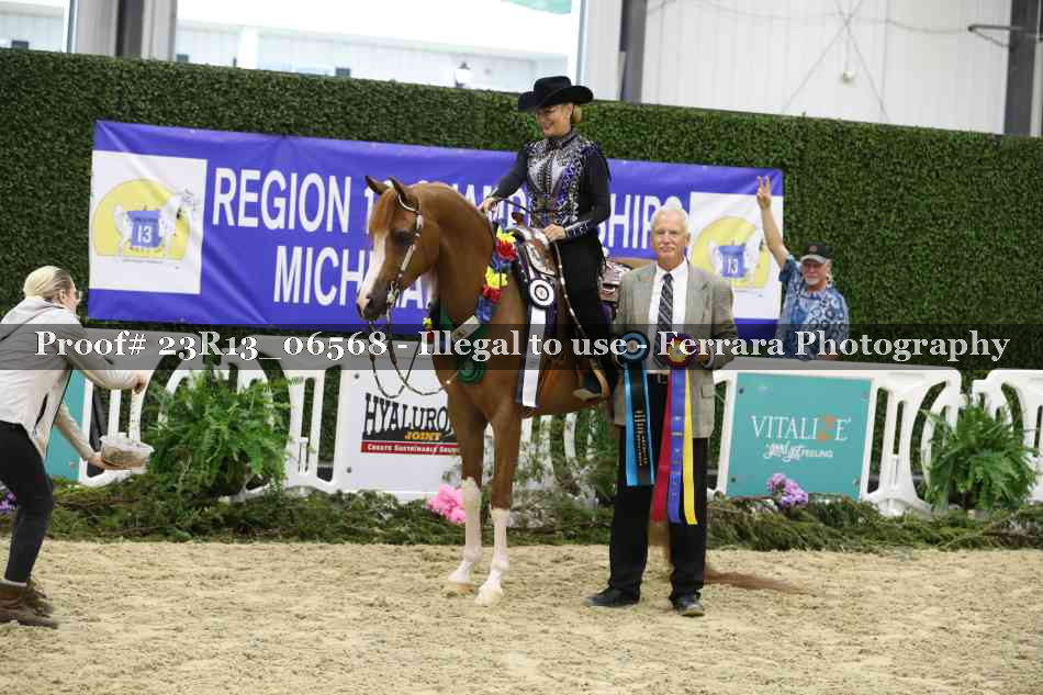 Proof Number 23R13_06568