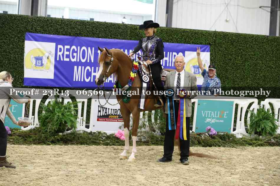 Proof Number 23R13_06569