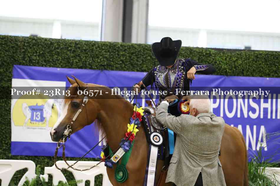 Proof Number 23R13_06571