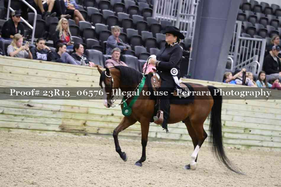 Proof Number 23R13_06576
