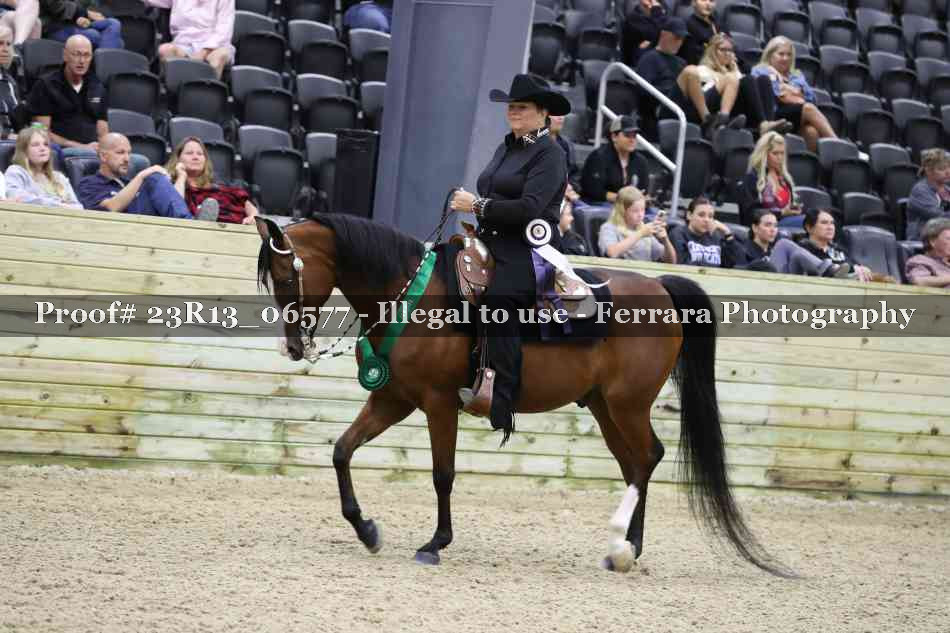 Proof Number 23R13_06577