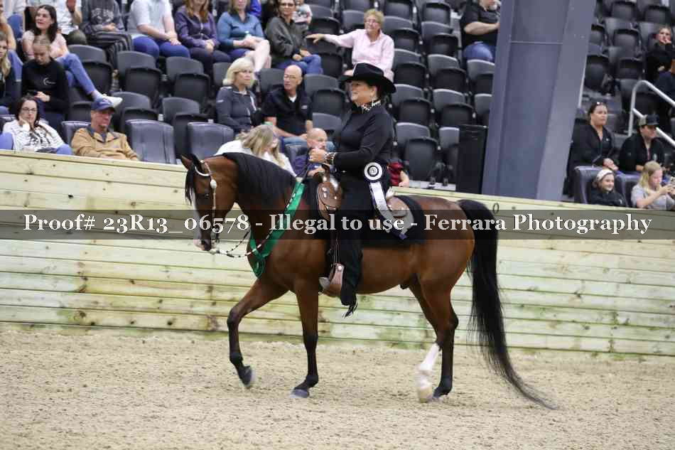 Proof Number 23R13_06578