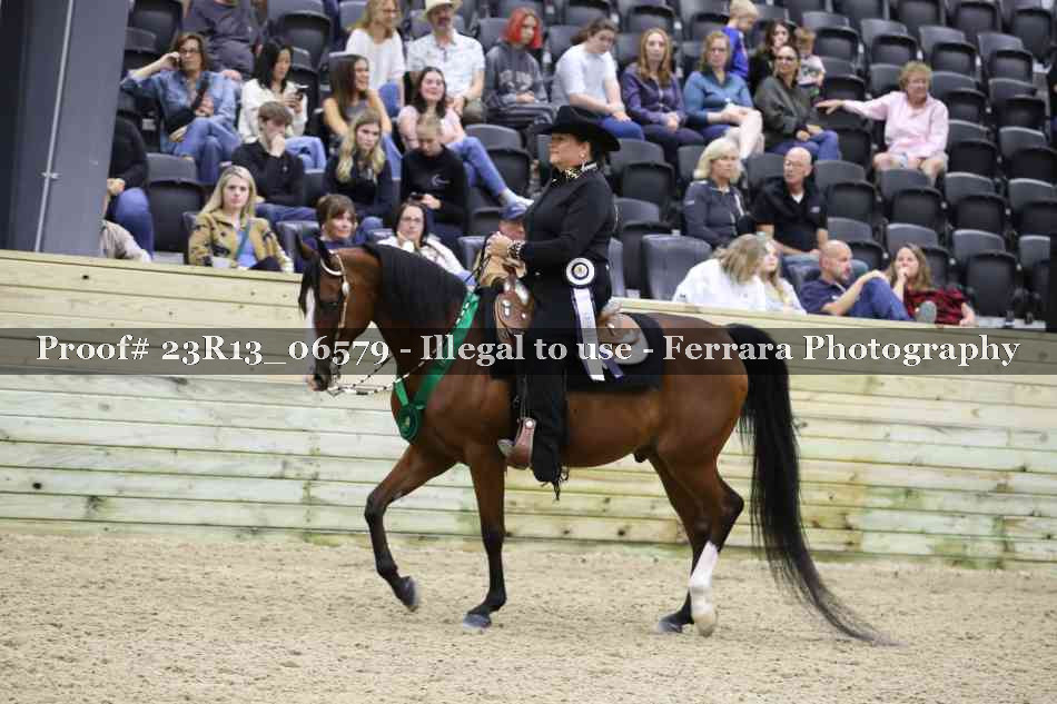 Proof Number 23R13_06579