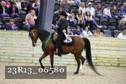 23R13_06580 thumbnail
