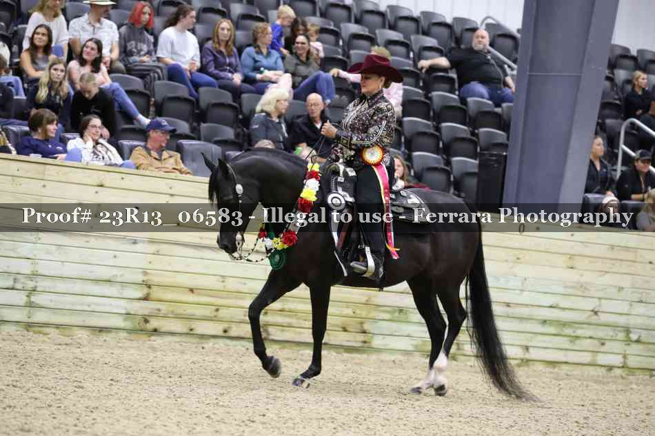 Proof Number 23R13_06583