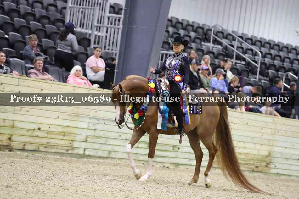 Proof Number 23R13_06589