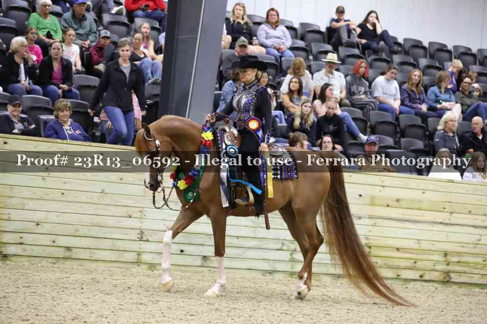 Proof Number 23R13_06592