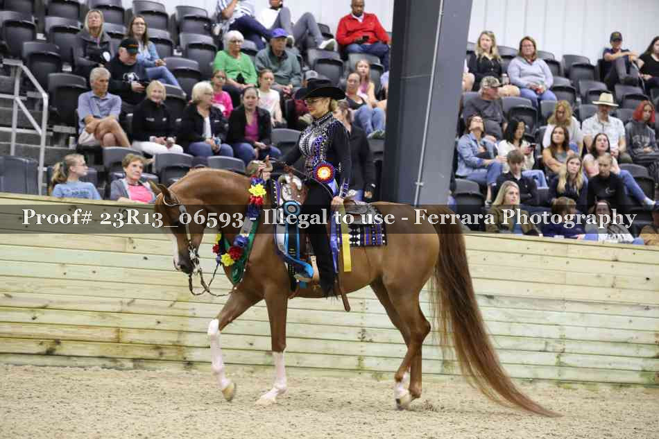 Proof Number 23R13_06593
