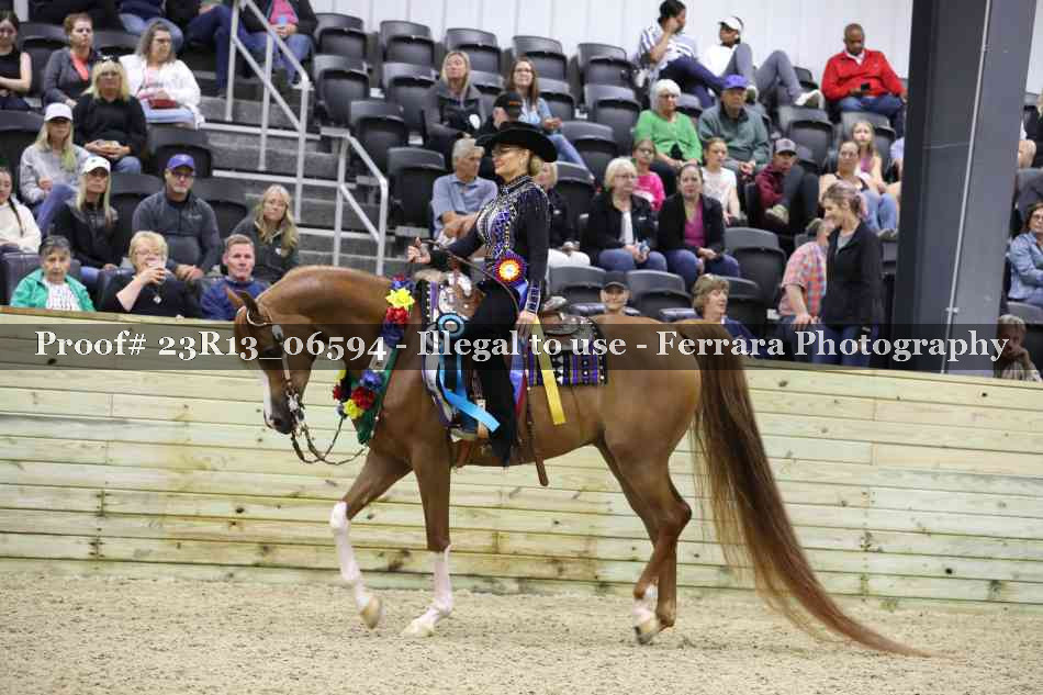 Proof Number 23R13_06594