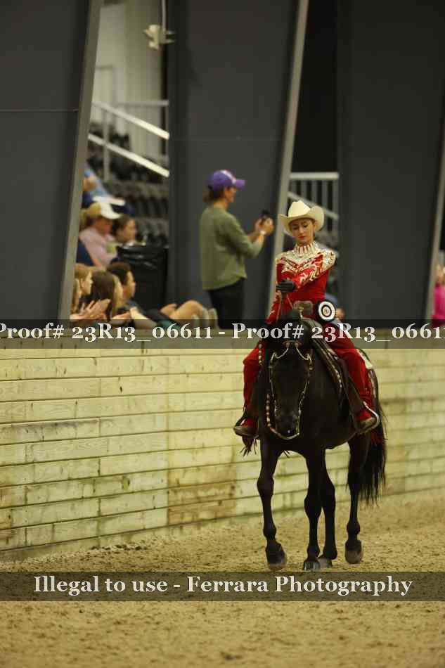 Proof Number 23R13_06611