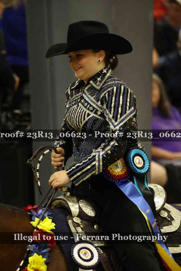 Proof Number 23R13_06623